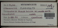 Image Associated With the Occurence
